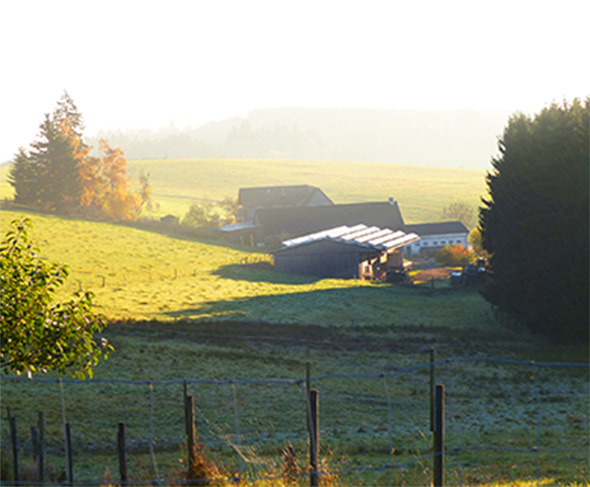 Urlaub auf dem Bauernhof in NRW